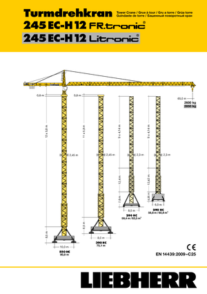 Torenkranen - Trolley-arm - Boven draaiend Liebherr 245 EC-H 12 Litronic