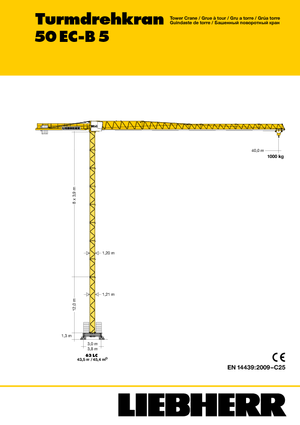 Torenkranen - Trolley-arm - Boven draaiend Liebherr 50 EC-B 5