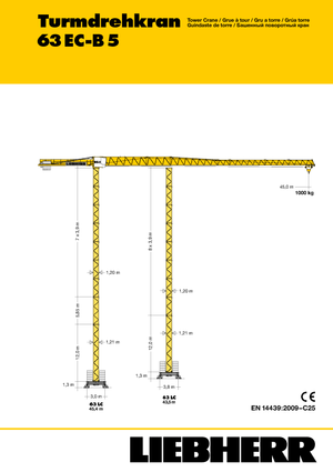 Torenkranen - Trolley-arm - Boven draaiend Liebherr 63 EC-B 5