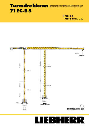 Torenkranen - Trolley-arm - Boven draaiend Liebherr 71 EC-B
