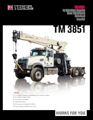 Vrachtwagenkranen TEREX CRANES TM 3851