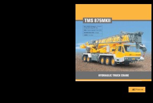 Op vrachtwagen gemonteerde telescoopkranen Til TMS 875 MK II
