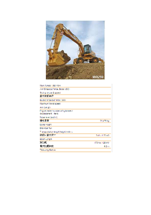 Mobiele graafmachines Case WX 210