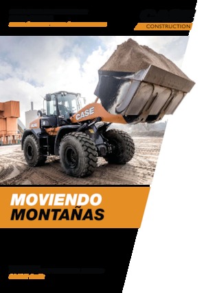 Wielladers Case 521G