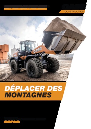 Wielladers Case 521G