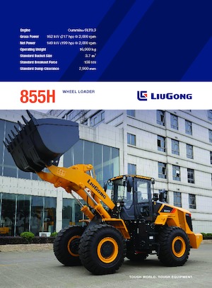 Wielladers Liugong 855H