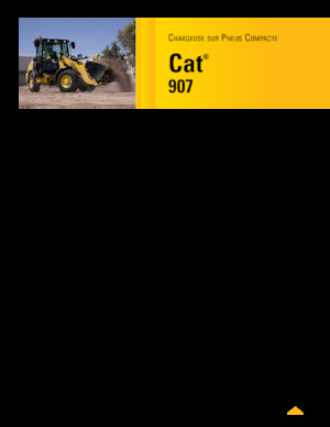 Wielladers Caterpillar 907