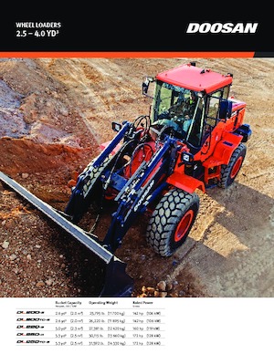 Wielladers Doosan DL200-5