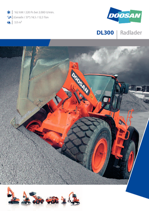 Wielladers Doosan DL 300