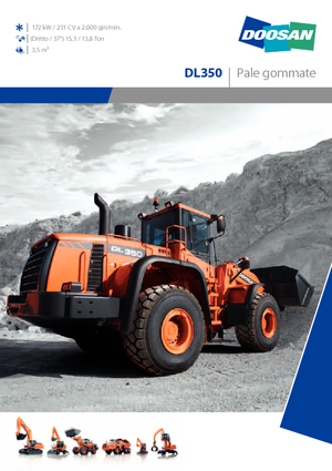 Wielladers Doosan DL 350