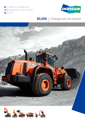 Wielladers Doosan DL 350