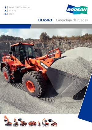 Wielladers Doosan DL450-3