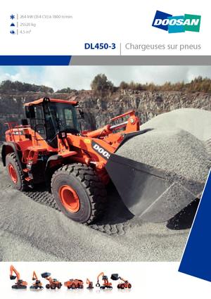 Wielladers Doosan DL450-3
