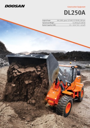 Wielladers Doosan DL250A