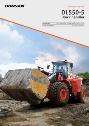 Wielladers Doosan DL550-5BH