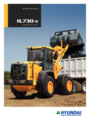 Wielladers Hyundai HL 730-9