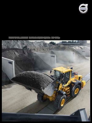 Wielladers Volvo L110H
