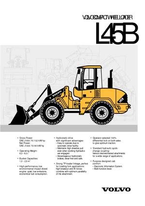 Wielladers Volvo L 45 BTP