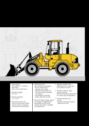 Wielladers Volvo L 45 BTP