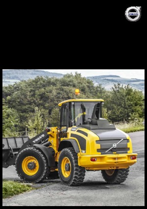 Wielladers Volvo L45H