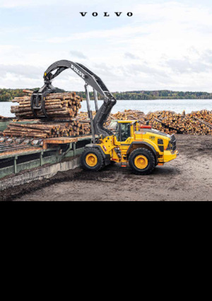 Wielladers Volvo L200H High Lift 