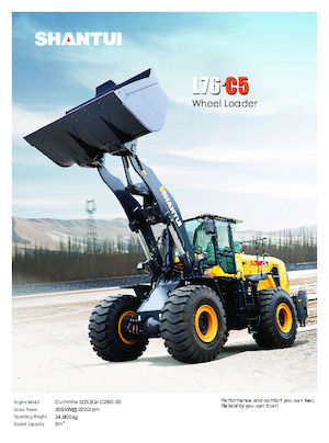 Wielladers Shantui L76-C5 