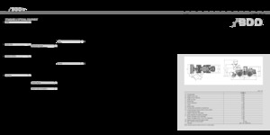 Wielladers Hitachi LX 300