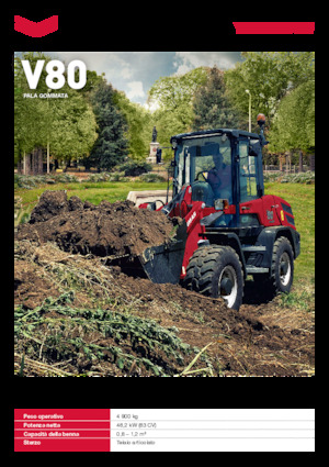 Wielladers Yanmar V80