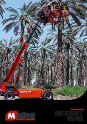 Telescoophoogwerkers op wielen MAGNI Ricklift 15