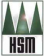 HSM
