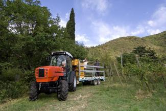 Tractoren met vierwielaandrijving SAME Frutteto³ S 90.3 DT