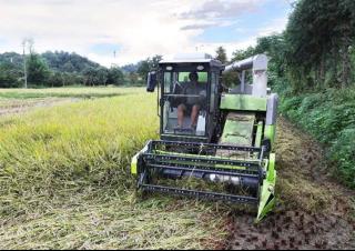 Combine maaidorsers Zoomlion FH120C