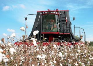 Combine maaidorsers Case IH Module Express 635