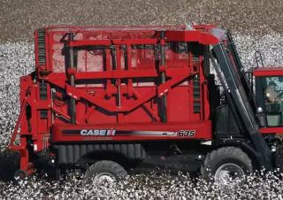 Combine maaidorsers Case IH Module Express 635