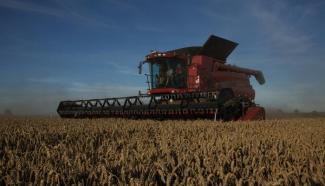 Combine maaidorsers Case IH Axial Flow 8120