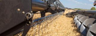 Combine maaidorsers Massey Ferguson Centora 7382