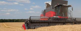 Combine maaidorsers Massey Ferguson Centora 7382