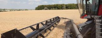 Combine maaidorsers Massey Ferguson Centora 7382