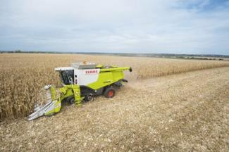 Combine maaidorsers Claas Lexion 670