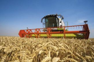 Combine maaidorsers Claas Tucano 440