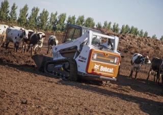 Schrankladers Bobcat T590