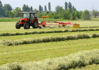Voertuigen Compacttrekkers DEUTZ-FAHR Agrokid 230 