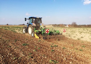 Cultivatoren Kerner Corona C 250 Üh