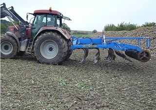 Cultivatoren Tigges Perlit 5503