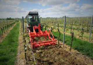 Cultivatoren Maschio Pinocchio 130/3