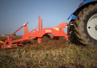 Cultivatoren Maschio Pinocchio 200/5
