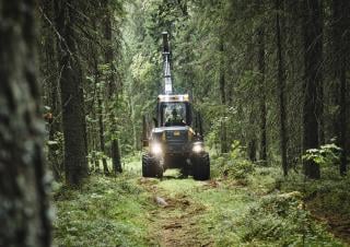 Bosbouwmachines Forwarders Ponsse Bison