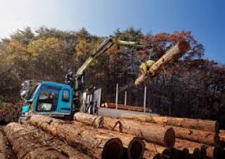 Houtlaadkranen Loglift F 61Z