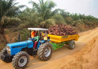 transporttechnologie Kipwagen Joskin TRANS-PALM 5000/7C65
