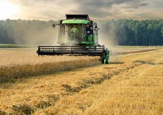 Combine maaidorsers DEUTZ-FAHR C 6205 TS Topline